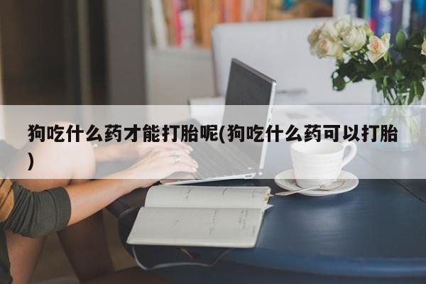 最便宜的打胎药的私人微信狗吃什么药才能打胎呢(狗吃什么药可以打胎)