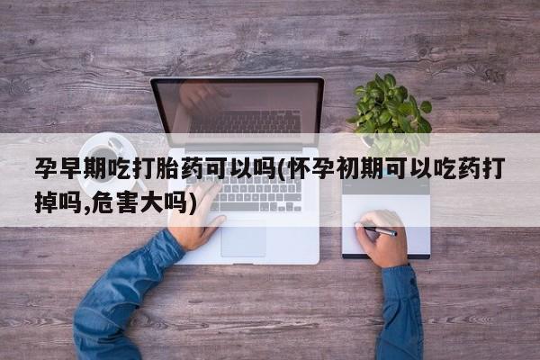最便宜的打胎药的私人微信孕早期吃打胎药可以吗(怀孕初期可以吃药打掉吗,危害大吗)
