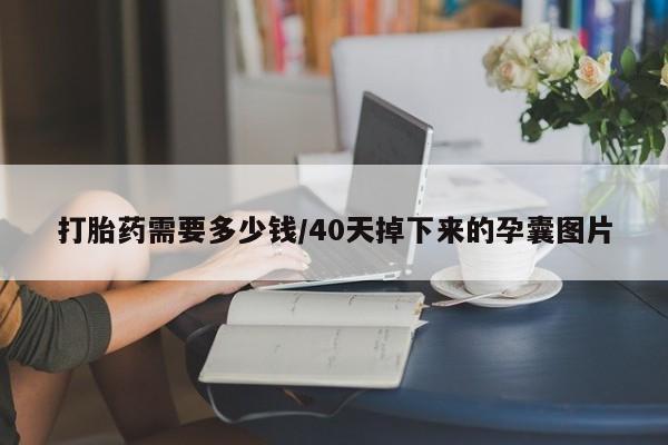 最便宜的打胎药的私人微信打胎药需要多少钱/40天掉下来的孕囊图片