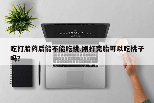 最便宜的打胎药的私人微信吃打胎药后能不能吃桃.刚打完胎可以吃桃子吗?